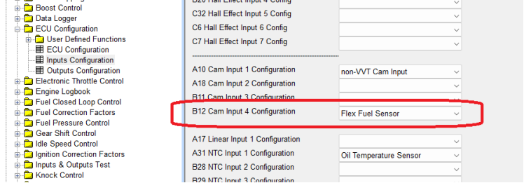 Input Setup — the supplied example assigns Cam Input 4 Configuration as Flex Fuel Sensor.